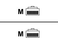 Raritan seriell kabel - 30 cm CSCSPCS-1