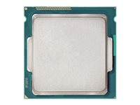 Intel Xeon E3-1220V3 / 3.1 GHz processor V26808-B9022-V10