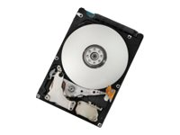 HGST CinemaStar Z5K500 HCC545050A7E630 - hårddisk - 500 GB - SATA 6Gb/s 0J42255