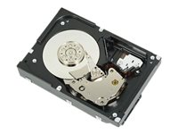 Dell - Kundsats - hårddisk - 12 TB - SATA 6Gb/s 400-AUTM