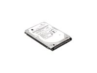 Lenovo ThinkPad - hårddisk - 1 TB - SATA 6Gb/s 4XB0K48493