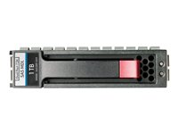 HPE Dual Port Midline - hårddisk - 1 TB - SAS AP861A