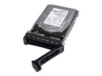 Dell - hårddisk - 1 TB - SATA 6Gb/s 400-AHVV