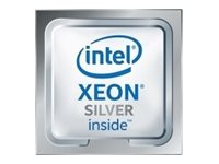 Intel Xeon Silver 4114 / 2.2 GHz processor 338-BLTV