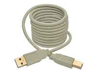 Eaton Tripp Lite Series USB 2.0 A to B Cable (M/M), Beige, 6 ft. (1.83 m) - USB-kabel - USB till USB typ B - 1.83 m U022-006-BE