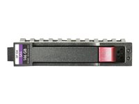 HPE Entry - hårddisk - 250 GB - SATA 3Gb/s 571230-B21