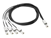 HPE extern SAS-kabel - 2 m AN975A