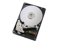 Dell - hårddisk - 1 TB - SATA 3Gb/s 400-14599