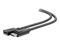 C2G 3ft DisplayPort Extension Cable - DisplayPort 1.4 - 8K UHD - M/F - DisplayPort-förlängningskabel - DisplayPort till DisplayPort - 91.4 cm 54450