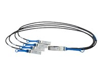 Intel Ethernet QSFP+ Breakout - nätverkskabel - 1 m X4DACBL1