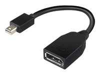 Lenovo DisplayPort-adapter - 17.6 cm 4X90L13971