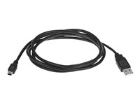 Extron USB CFG Cable - USB-kabel - mini-USB typ B till USB - 1.8 m 26-654-06