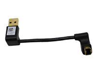 Lenovo - USB-adapter - USB till USB typ B 00XL224