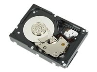 Dell - hårddisk - 450 GB - SAS R749K