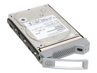 G-Technology Enterprise Spare Module GSPSW40001BAA - hårddisk - 4 TB - SATA 6Gb/s 0G02648