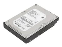 Lenovo - hårddisk - 500 GB - SATA 3Gb/s - FRU 45K0410