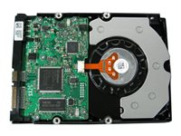 Dell - hårddisk - 1 TB - SATA 1.5Gb/s YR660