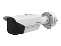 Hikvision DS-2TD2138-10/QY - termisk/nätverksövervakningskamera - kula DS-2TD2138-10/QY