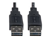 Eaton Tripp Lite Series Universal Reversible USB 2.0 Cable (Reversible A to Reversible A M/M), 10 ft. (3.05 m) - USB-kabel - USB till USB - 3.05 m UR020-010