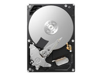 Toshiba P300 - hårddisk - 1 TB - SATA 6Gb/s HDWD110EZSTA