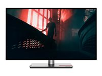 Lenovo ThinkVision P27h-30 - LED-skärm - QHD - 27" 63A1GAR1EU