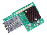 Intel Ethernet Server Adapter X520-DA2 - nätverksadapter - PCIe 2.0 x8 X520DA2OCPG2P20