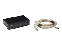 Black Box ServSwitch DT DVI with Emulated USB Keyboard/Mouse Kit - omkopplare för tangentbord/video/mus - 2 portar - TAA-kompatibel KV9612A-K