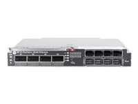 HPE Virtual Connect FlexFabric-20/40 F8 Module - switch - 16 portar - Administrerad - insticksmodul - TAA-kompatibel 691367-B22