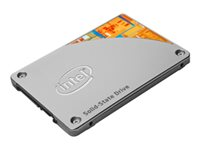 Intel Solid-State Drive Pro 1500 Series - SSD - 180 GB - SATA 6Gb/s SSDSC2BF180A401