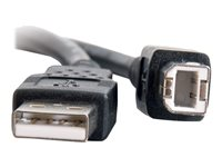 C2G 6.6ft USB A to USB B Cable - USB A to B Cable - USB 2.0 - Black - M/M - USB-kabel - USB till USB typ B - 2 m 28102