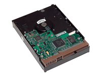 HP - hårddisk - 500 GB - SATA 6Gb/s LQ036AA