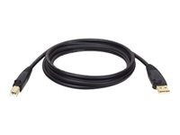 Eaton Tripp Lite Series USB 2.0 A to B Cable (M/M), 10 ft. (3.05 m) - USB-kabel - USB till USB typ B - 3 m U022-010-R