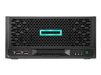 HPE ProLiant MicroServer Gen10 Plus v2 - ultramikrotorn Xeon E-2314 2.8 GHz - 0 GB - SSD 2 x 1 TB P70335-425