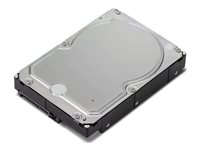 Lenovo - hårddisk - 6 TB - SATA 6Gb/s 4XB0X87802