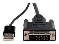 StarTech.com DVI till DisplayPort-adapter med USB-ström - 1920 x 1200 - videokort - DVI-D till DisplayPort DVI2DP2