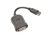 Lenovo DisplayPort-kabel - 20 cm 43N9159