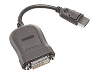 Lenovo DisplayPort-adapter - 20 cm 54Y9903