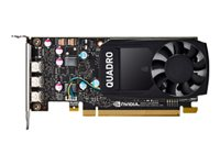 NVIDIA Quadro P2000 - grafikkort - Quadro P2000 - 5 GB 942637-001