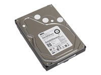 Dell - hårddisk - 1 TB - SAS GPP3G