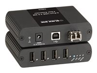 Black Box - USB-förlängningskabel - USB, USB 2.0 IC406A-R2