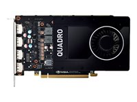 NVIDIA QUADRO P2200 - grafikkort - Quadro P2200 - 5 GB S26361-F2222-L205