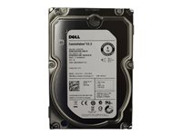 Dell - hårddisk - 1 TB - SAS FNW88