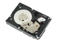 Dell - hårddisk - 1 TB - SATA 6Gb/s 400-AUPW