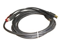 Epson - USB-kabel med egen strömförsörjning - 3 m 2218424