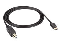 Black Box - USB typ C-kabel - USB typ B till 24 pin USB-C - 1 m USBC2TYPEB-1M