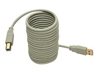 Eaton Tripp Lite Series USB 2.0 A to B Cable (M/M), Beige, 10 ft. (3.05 m) - USB-kabel - USB till USB typ B - 3.05 m U022-010-BE