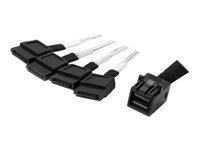 StarTech.com Intern Mini-SAS till SATA-kabel - SFF-8643 till 4x SATA - 1 m - SATA/SAS-kabel - 1 m SAS43SAT1M