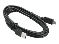 Zebra - USB typ C-kabel - USB till 24 pin USB-C CBL-MPV-USB1-01