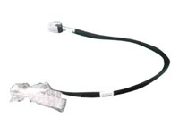 HPE intern SAS-kabel 753111-001