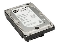 HP Enterprise - hårddisk - 6 TB - SATA 3DH90AA